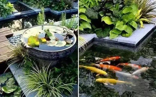 天朗资讯|小庭院景观设计之水池的设计与营造